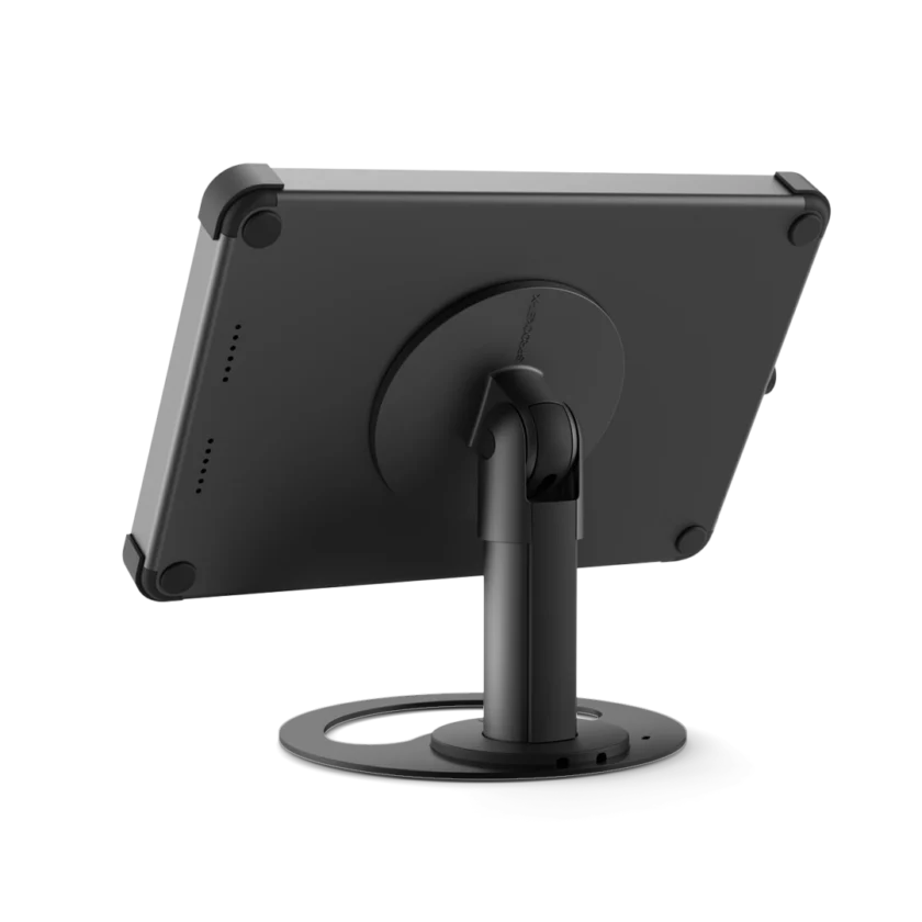 X Base - Image 4